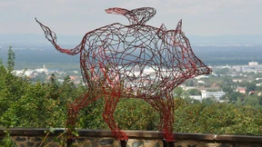 Ein fliegendes Schwein und singende Bäume 