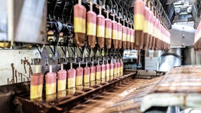 Das Herz verschmilzt mit Magnum