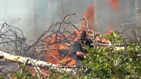 Waldbrand bei Königstein gelöscht