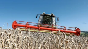 Wie Mähdreschen die Artenvielfalt fördern kann