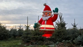 Keine weißen Weihnachten