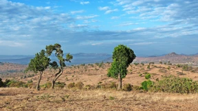Der große Gleichmacher