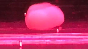 Wie das Silicon Valley das Sterben abschaffen will