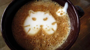 Streicheln, Kaffee-Trinken, Adoptieren