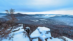 Der Wanderfalke ist uns nicht wurscht