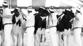 Innovationen aus der Provinz