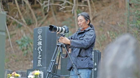 Kunst und Katastrophenkosmetik