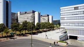 Was ein Professor mit der Zukunft der Ampelkoalition zu tun hat