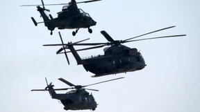 Alle 53 Bundeswehr-Kampfhubschrauber Tiger bleiben vorerst am Boden