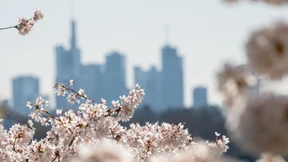 Finanzbranche muss nachhaltiger werden