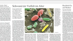 Schwund der Vielfalt im Alter