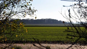 Hubschrauber als Risiko