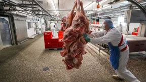 Fleischbetriebe stocken Stammbelegschaft auf