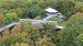 Urwald mitten in Deutschland