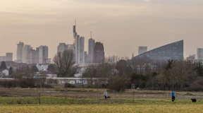 Immer dem Hasen hinterher