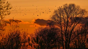 Das war der wärmste März seit Messbeginn