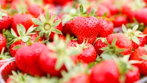 Erdbeeren und Aktien