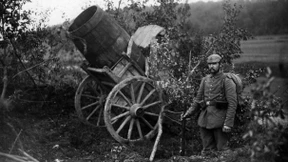 Was wollen die Deutschen?