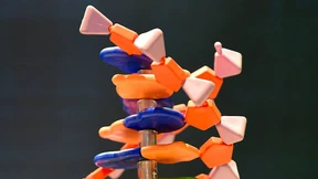 Wollen wir die „Gen-Schere“ erlauben?