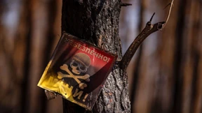 Die NATO sollte auf Antipersonenminen verzichten