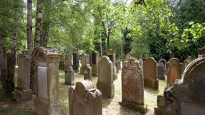 „Geborgen ein netter und gelehrter junger Mann“