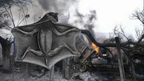 Respektiere das Tier in dir