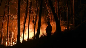 Portugal kämpft mit knapp 3000 Feuerwehrleuten gegen Feuer