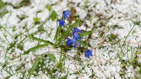 Geschichte spricht für weitere Kursgewinne an Wall Street