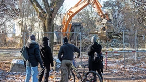 Erster Baum im Fechenheimer Wald gefällt