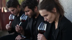 Was Weinkritiker uns wirklich sagen können – und was nicht