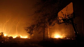 Flächenbrände zerstören mehr als 10.000 Hektar Land