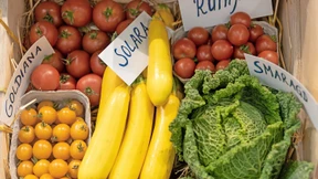 Bio trotz steigender Preise gefragt