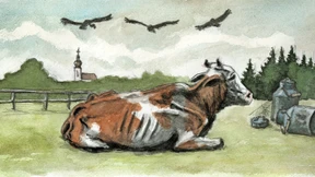 Leserbriefe vom 14. Dezember 2024