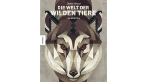 Alle Schattierungen von Grau