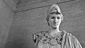 Ich habe heute leider kein Foto für Sie