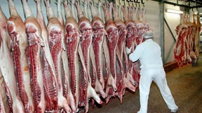 Eine Schweinerei – und eine arme Sau