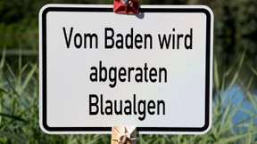Blaualgen-Alarm an Hessens Badeseen