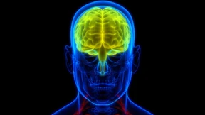 Von Gedankenübersetzung bis selbst erlerntes, autonomes Fahren