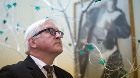 Steinmeier beruft Ukraine-Krisengipfel ein