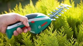 Bosch entdeckt den urbanen Kleingärtner