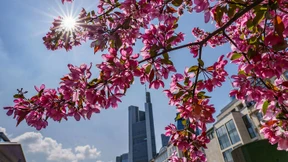 Sonne-Wolken-Mix in Hessen erwartet