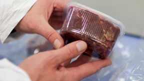 Grüne fordern Mitteilungspflicht für Lebensmittelbranche