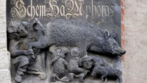 Helfen Geschichte, Reli und Deutsch gegen Antisemitismus?