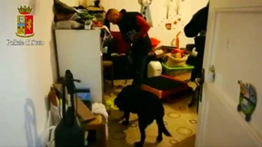 Verbindungen zu Netzwerk des Weihnachtsmarkt-Attentäters