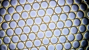 Mit Soda gegen den Klimafeind Nummer eins