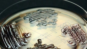 „Eine Milliarde ist eine faire Zahl“