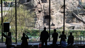 So oder Zoo ist das Leben