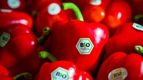 Ist Bio wirklich besser?