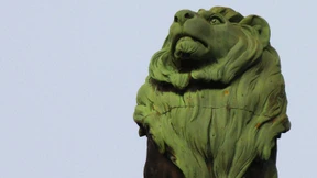 Vom Potschamperl zur Brunzkachel – Deutsch mit der CSU