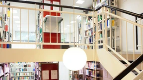 Was tun nach der Doktorarbeit?